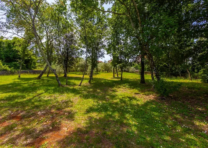Apartments Cerovic