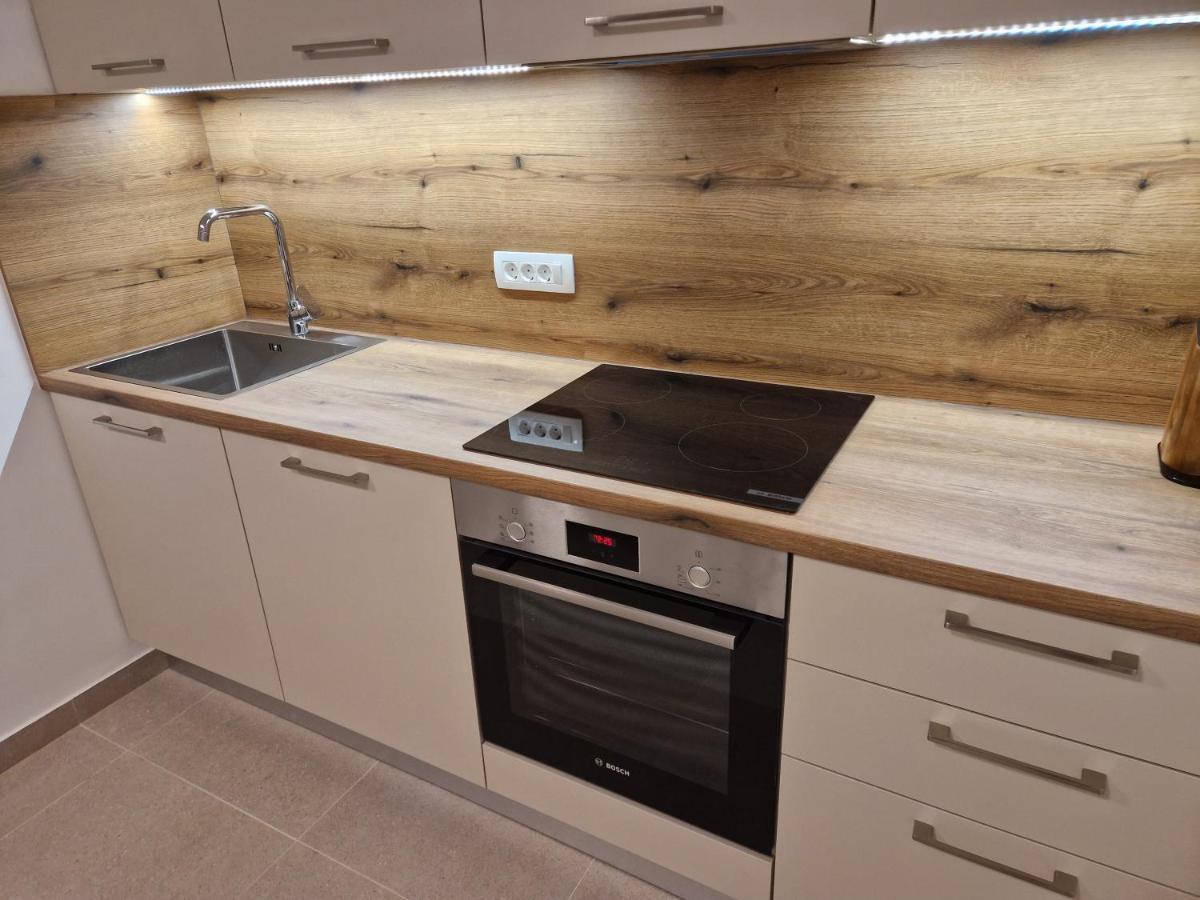 Apartment Cerovic